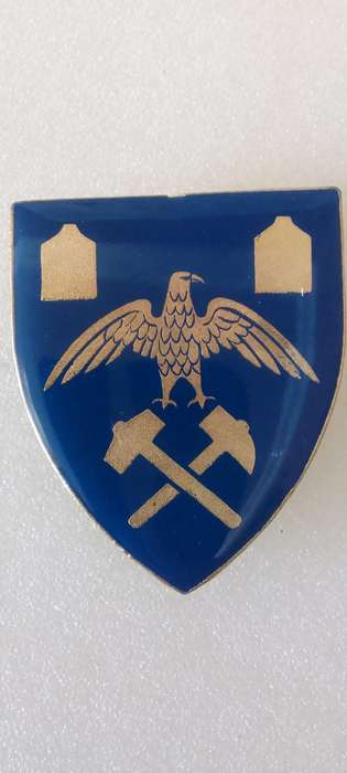 SADF / SA ARMY PRESIDENT KRUGER REGIMENT SHOULDER FLASH - WITH  PINS