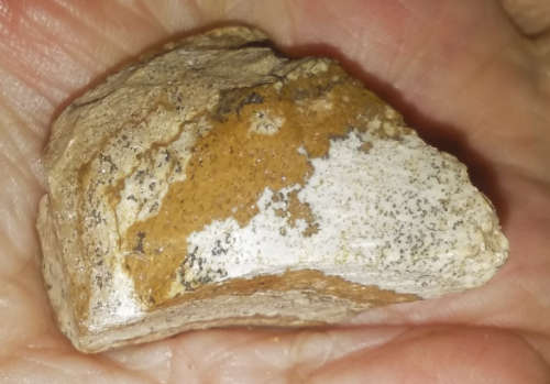 Kalahari Picture Stone Rough