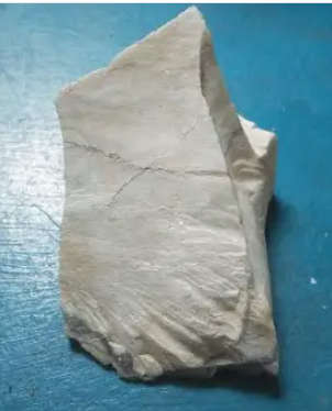 Archaen Butterstone connection to the essence of life resilience and versatility