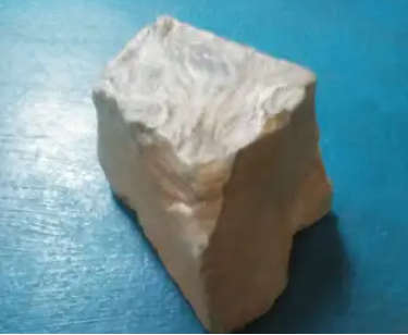Archaen Butterstone   most widely accepted fossil evidence for Archean life.