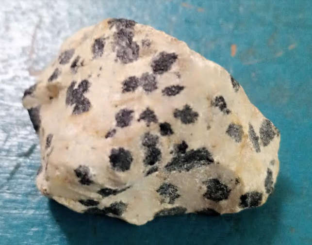 Dalmatian Jasper Rough  black spots are said to be Black Tourmaline