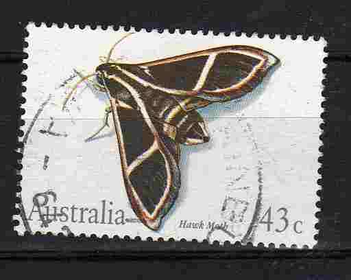 1991 insects