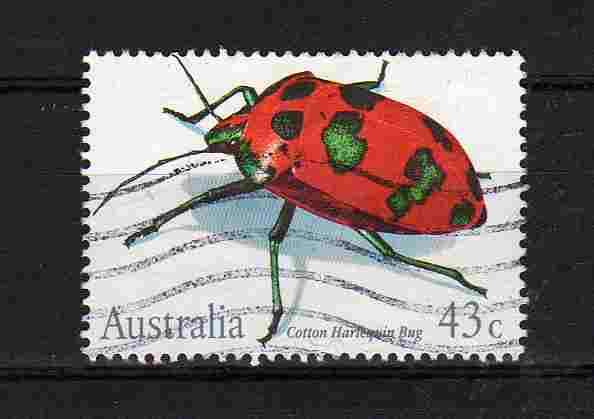 1991 insects