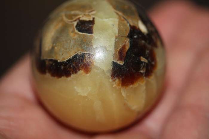 Septerye Ball