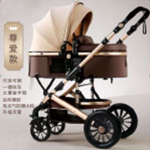 2 in 1 Baby Stroller