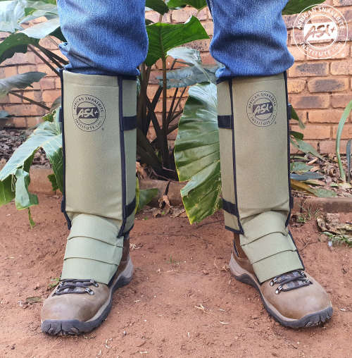 ASI Budget Snake Gaiters with Shin Guards