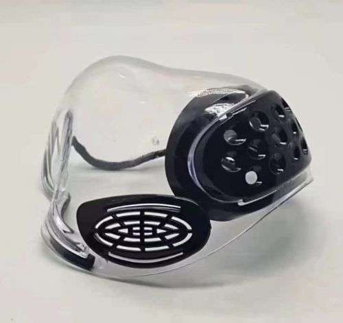 Carbon Filter Masks