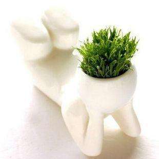 @ new Christmas Gift DIY cup plant - creative gift @
