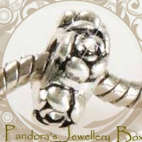 Pandora Bead Charm