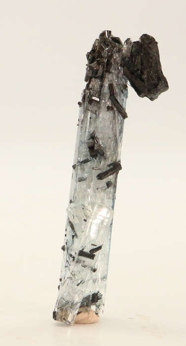 Schorl on Aquamarine, Erongo Mnt Region, Namibia
