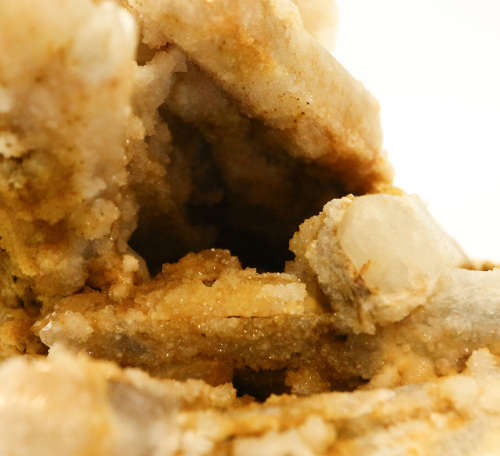 Goethite Stained Cactus Quartz Cluster, Boekenhouthoek, South Africa