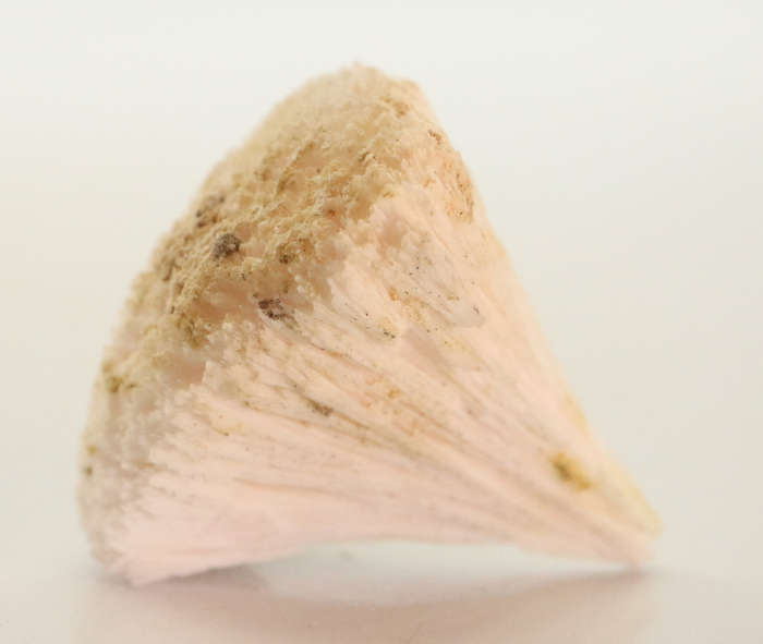 Kutnohorite Specimen, N`Chwaning II, Northern Cape, South Africa