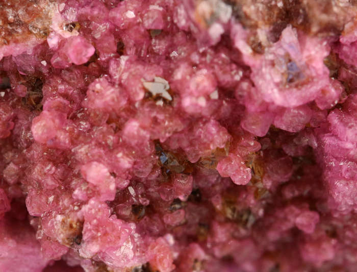 Cobaltoan Calcite on Matrix, Mashamba West Mine, DRC