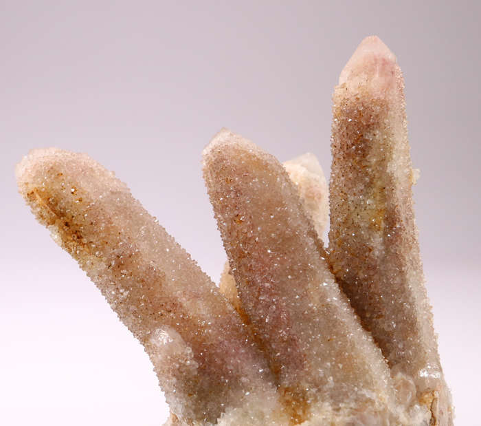Cactus Fairy Quartz Cluster, Boekenhouthoek, South Africa