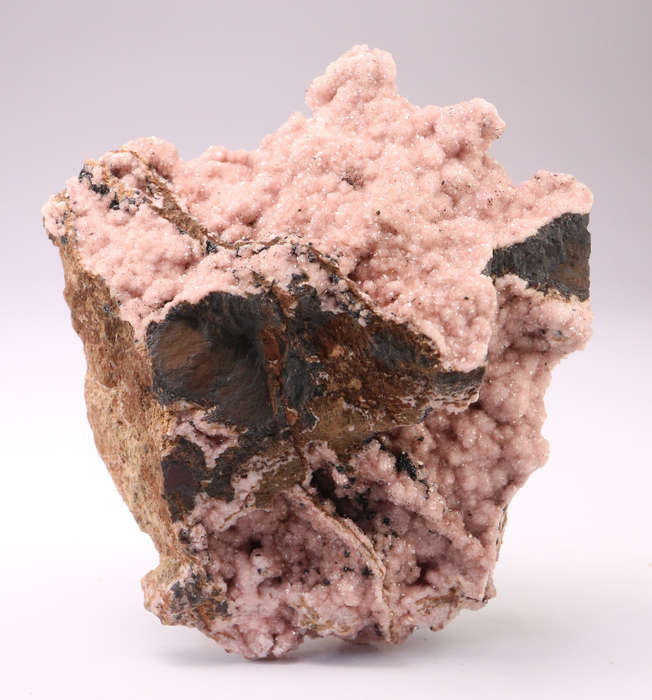 Rhodochrosite on Matrix, N`Chwaning II, Nothern Cape, South Africa