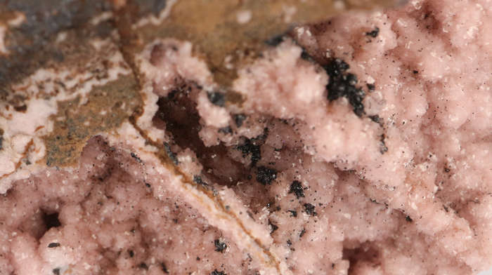 Rhodochrosite on Matrix, N`Chwaning II, Nothern Cape, South Africa