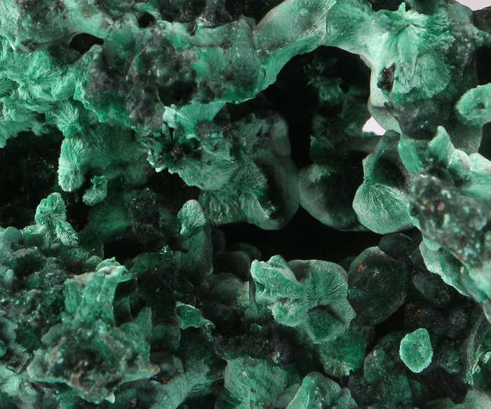 Malachite Cluster, Mashamba West Mine, DRC