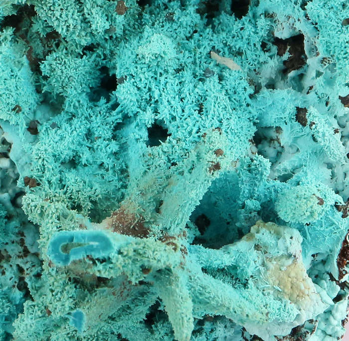 Malachite psm After Azurite on Matrix, Lupoto Mine, DR Congo