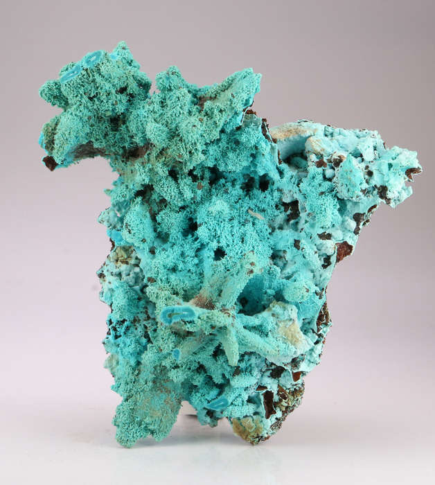 Malachite psm After Azurite on Matrix, Lupoto Mine, DR Congo
