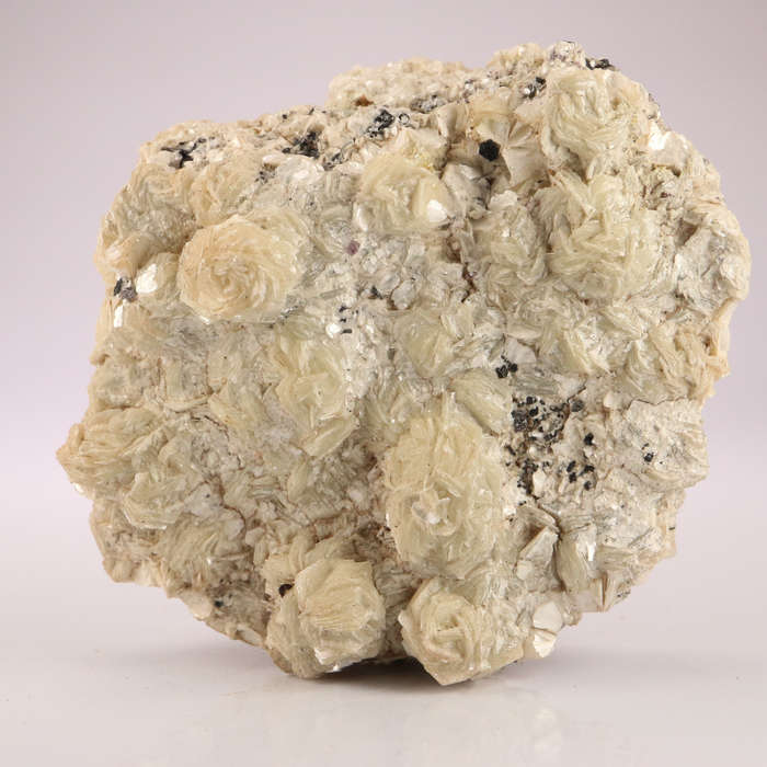 Muscovite Cluster, Erongo Mnt Region, Namibia