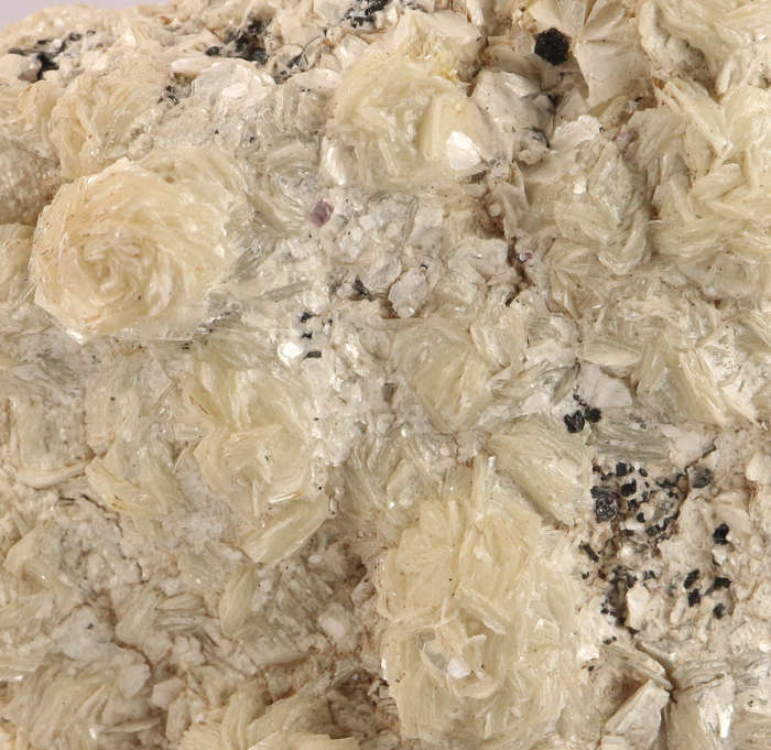Muscovite Cluster, Erongo Mnt Region, Namibia