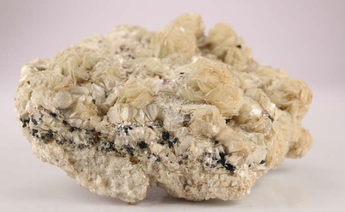 Muscovite Cluster, Erongo Mnt Region, Namibia