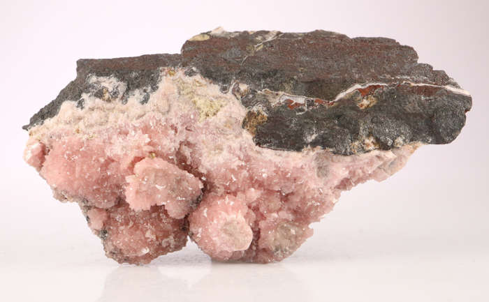 Rhodochrosite on Matrix, N`Chwaning II, Northern Cape, South Africa