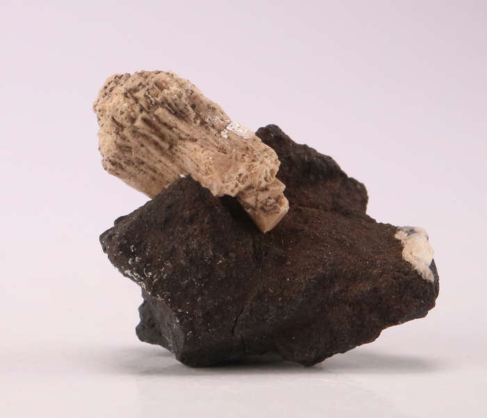 Olmiite on Matrix, N'Chwaning II, Northern Cape, South Africa