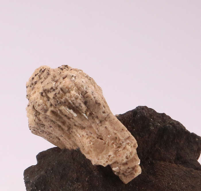 Olmiite on Matrix, N'Chwaning II, Northern Cape, South Africa