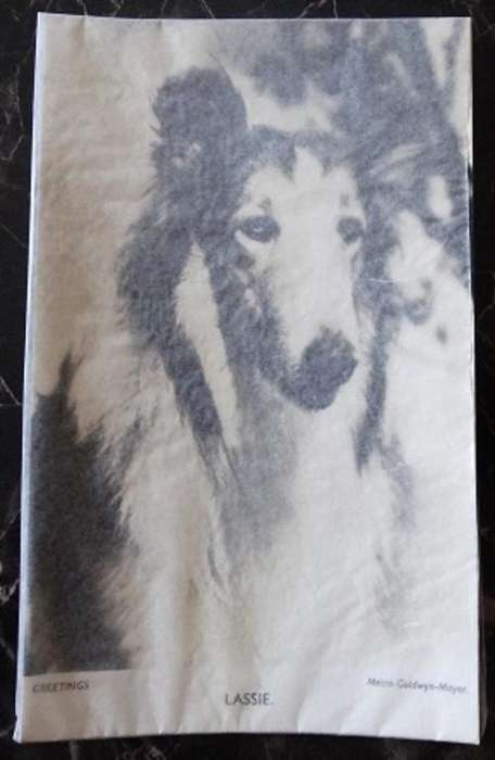 Greeting Card Of Lassie