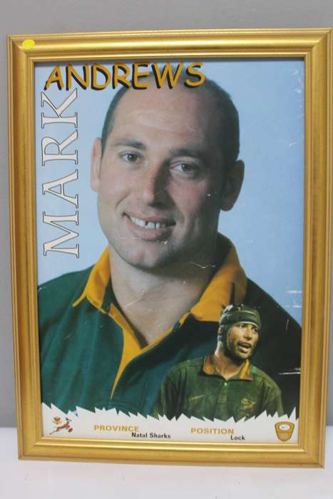 Framed Springbok - Mark Andrews (No glass)