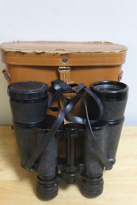 Summit 10x50 Binoculars in case