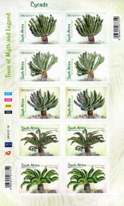 South Africa - 2019 Mint Year Pack