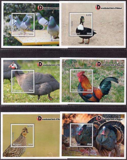 Malawi - 2018 Domesticated Birds MS Set MNH