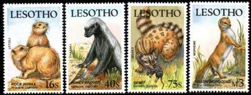 Lesotho - 1988 Small Mammals Set & MS MNH SG 824-828