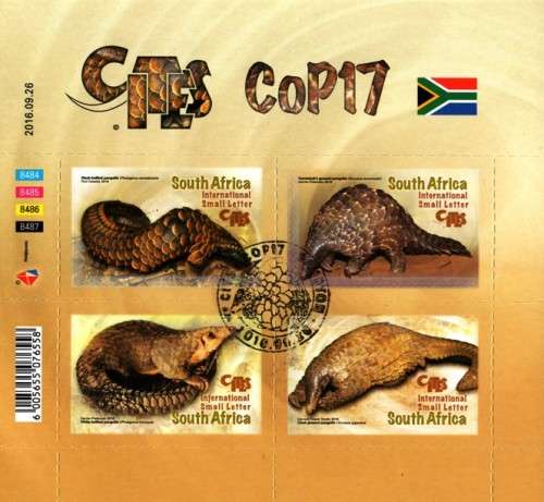 South Africa - 2016 Used Year Pack