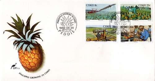 Ciskei - 1982 Pineapple Industry FDC 1.3