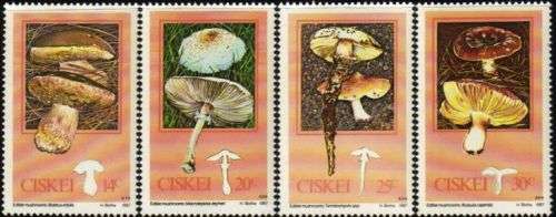 Ciskei - 1987 Edible Mushrooms Set MNH SACC 110-113