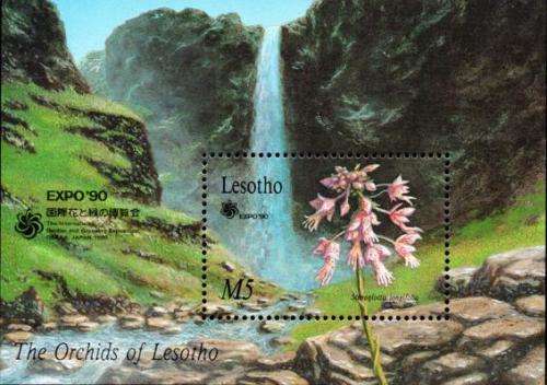 Lesotho - 1990 Garden Expo Orchids Set & MS MNH SG 958-966