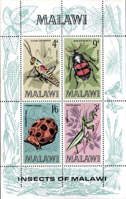 Malawi - 1970 Insects MS MNH SG 349