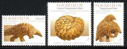 Namibia - 2023 Pangolins Set MNH