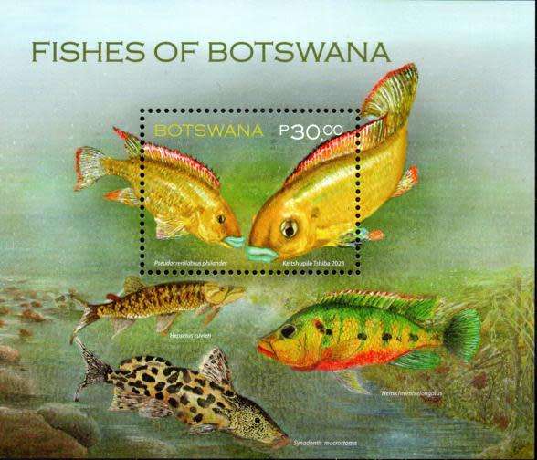 Botswana - 2023 Fishes MS MNH