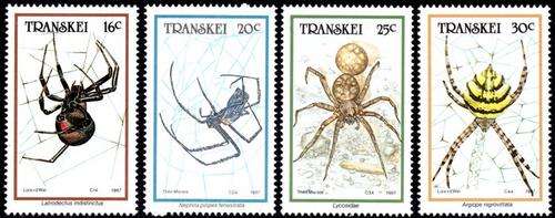 Transkei - 1987 Spiders Set MNH SACC 208-211
