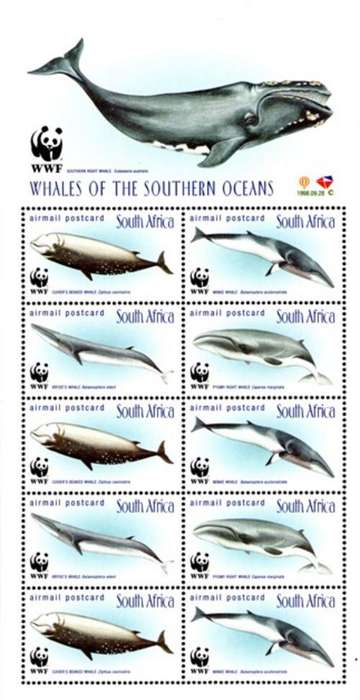 South Africa - 1999 WWF Whales Booklet Sheet MNH 1172-1175