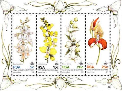 South Africa - 1981 Orchid Conference MS MNH SACC 506