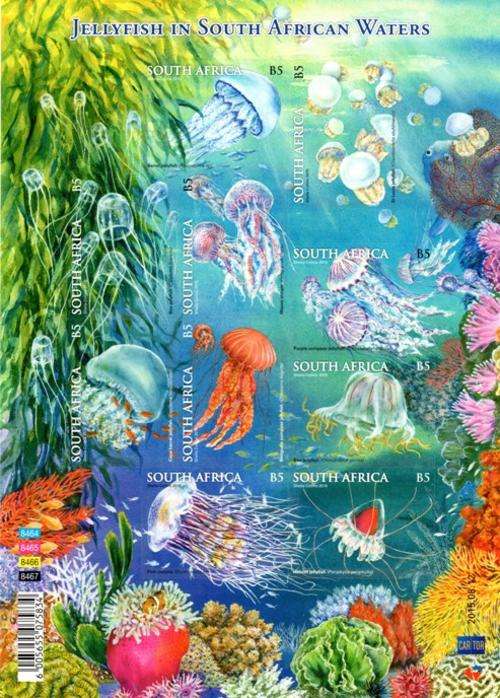 South Africa - 2015 Mint Year Pack