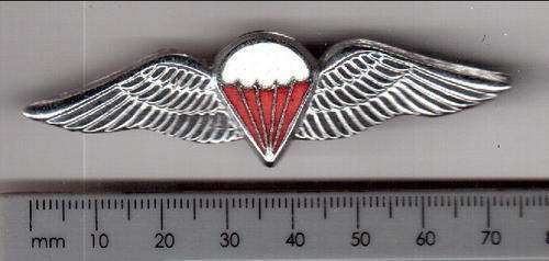 SA army parachute free fall badge, chrome and enamel, used from 1970 - as per scan