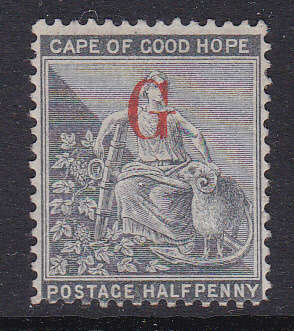 Griqualand West 1877-9 - 1st Printing SG4e ½d Grey-black with overprint TYPE 5 - MNG