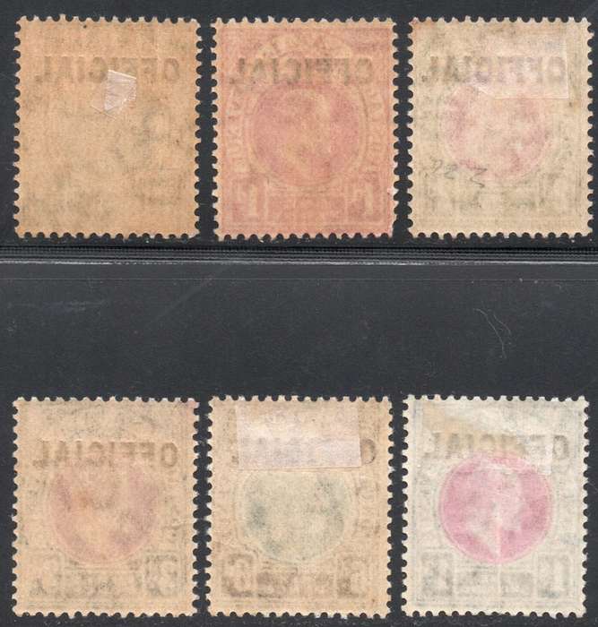 NATAL 1904 OFFICIAL STAMPS SACC1-6 COMPLETE SET OF SIX - MM - CV R12920