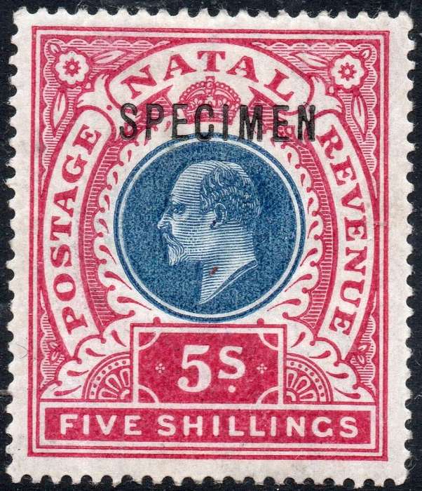 NATAL SACC122s 5/- DULL BLUE & ROSE ``SPECIMEN`` - MM